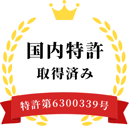 国内特許取得済み